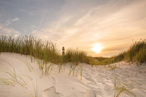 I LIKE SYLT by Ursula Reins