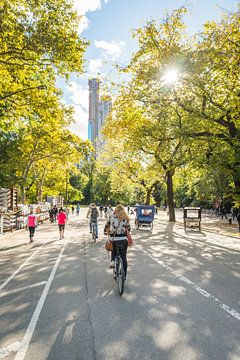 Zonnig Central Park te fiets van Bas de Glopper
