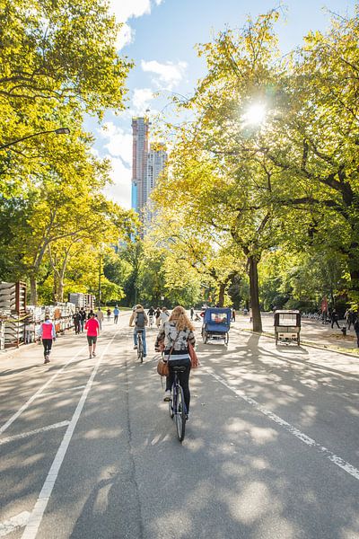 Zonnig Central Park te fiets van Bas de Glopper