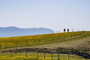 Vercors