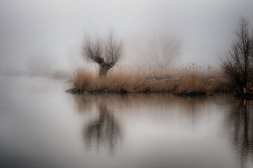 Mistig IJssellandschap bij Kampen, Nederland