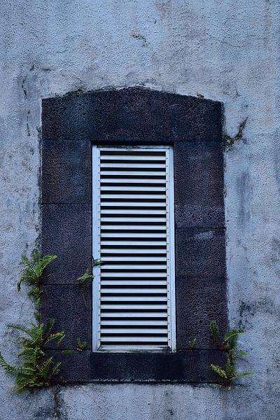 Lighthouse window by Frank's Awesome Travels