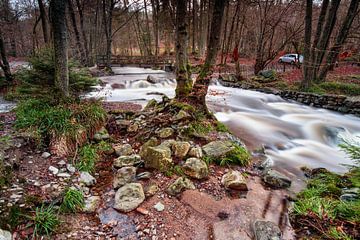 Gebirgsfluss Hoëgne in den Ardennen von Rob Boon