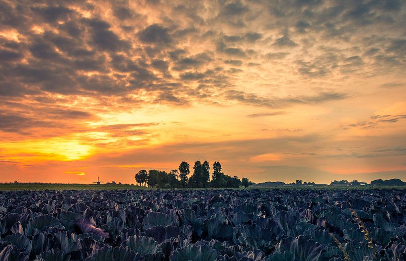 Red coals by peterheinspictures