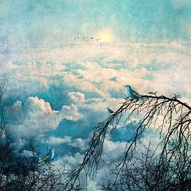 HEAVENLY BIRDS III-B4 by Pia Schneider