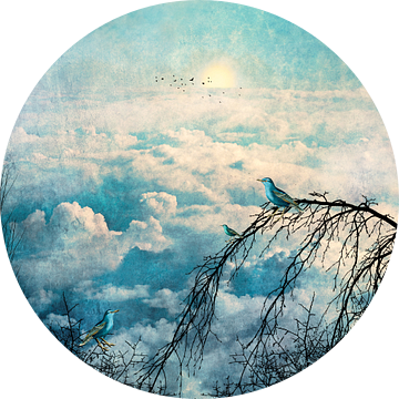 HEMELSE VOGELS III-B4