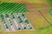 Vue d'en haut sur les champs colorés