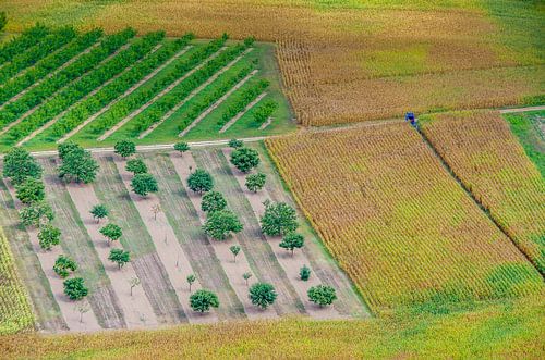 View from above on colorful fields