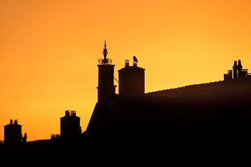 daken bij zonsondergang van foto rodenboog