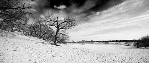 Loonse und Drunense Dünen