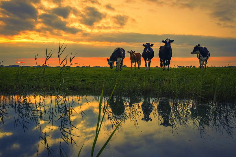 Curious ladies by peterheinspictures