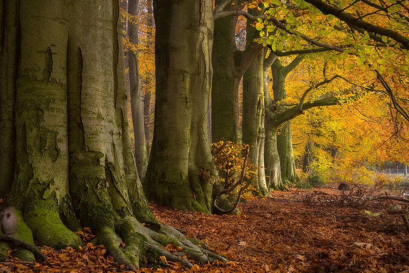 Country estate Hof te Dieren by Jeroen Lagerwerf