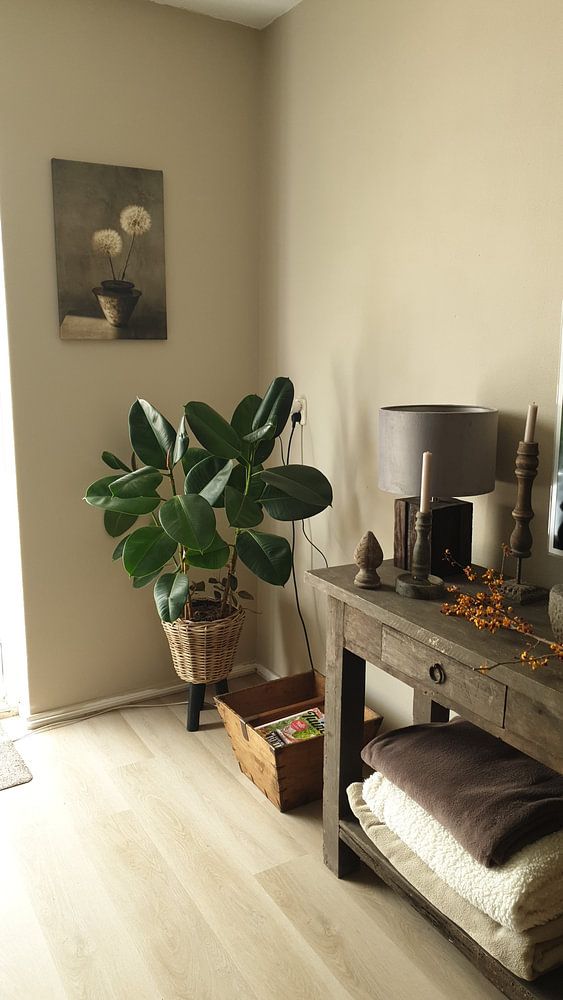 Stilleben. Silberne Flusenbälle. Basic. Japandi. von Alie Ekkelenkamp