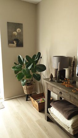 Still life. Silver. Fluff balls. Basic.