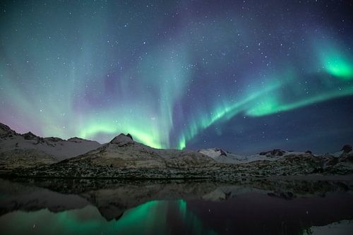 Northern Lights in the winter night over the Lofoten Islands by Sjoerd van der Wal Photography