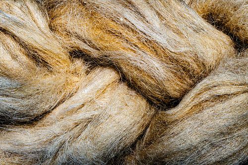 tresse sur Dieter Walther