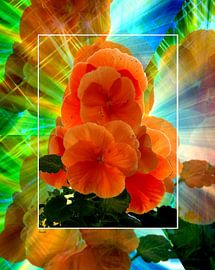 Frühlingsboten van Gertrud Scheffler