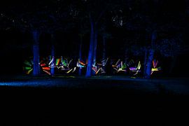 Nocturnal Rainbows in the forest  Three van Licht! Fotografie