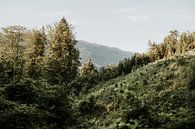 Foto van het uitzicht op een berglandschap nabij Mondsee | Salzburg, Oostenrijk van Trix Leeflang thumbnail