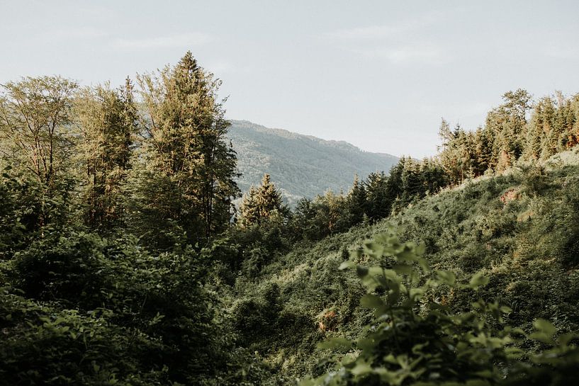 Foto van het uitzicht op een berglandschap nabij Mondsee | Salzburg, Oostenrijk van Trix Leeflang