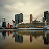  Harmony of the Seas ( Rotterdam )  von Cris Martinez