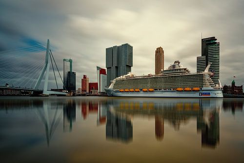  Harmony of the Seas ( Rotterdam )  by Cris Martinez