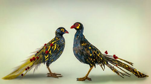 Kleurrijk vogelpaar toont de kunstzinnigheid van de natuur