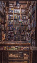 Petite librairie sur Mario Calma