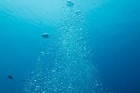Airbubbles underwater.