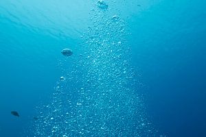 Bulles d'air.