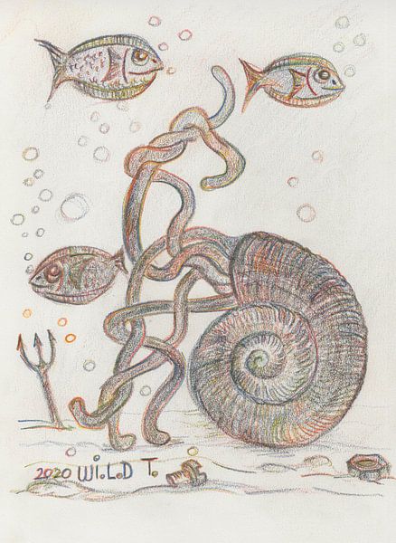 Shell at the bottom of the sea by Wieland Teixeira