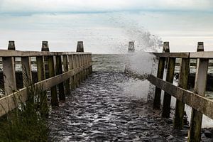 Seedock
