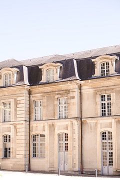 Prachtig oud gebouw in Reims, Frankrijk van Milou Emmerik