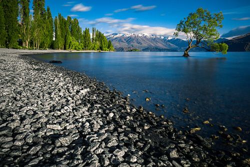 Der einsame Baum - Wanaka See Neuseeland von Martijn Smeets