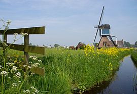 Zoeterwoude Rijndijk Molen by Miranda Bos