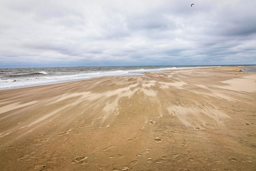 Drifting Sand on the beach near de Cocksdorp (Texel) by Rob Boon