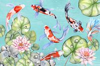 Poisson carpe koï