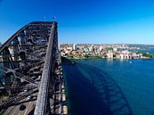 Sydney Harbour Bridge by Melanie Viola thumbnail