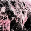 Roze olifant, om nooit te vergeten! van ArtelierGerdah