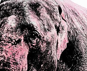 Roze olifant, om nooit te vergeten! van ArtelierGerdah