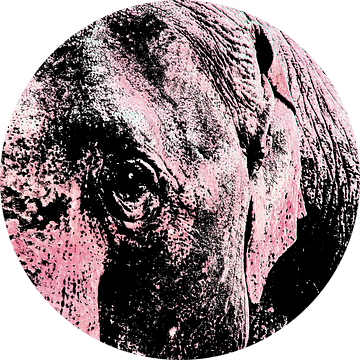 Roze olifant, om nooit te vergeten!