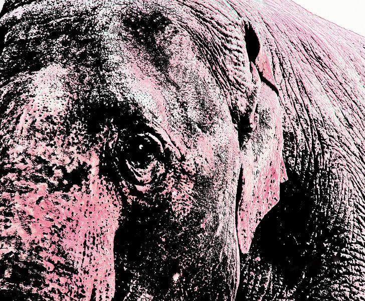 Roze olifant, om nooit te vergeten! van ArtelierGerdah