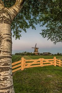 Die Mühle von Paesen/Schlammloch im Abendlicht