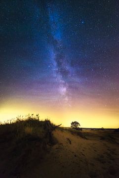 Dutch Milky way at the Veluwe by Albert Dros