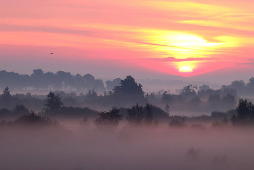 Zonsopgang / zonsopkomst in Friesland