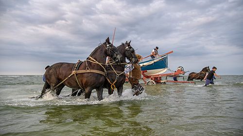 Roeireddingboot Terschelling