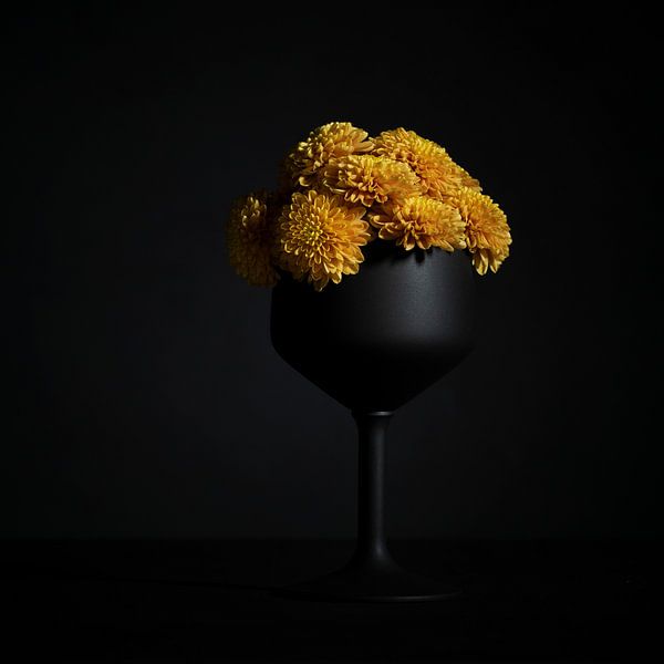 Black beauty with Carnations (II) by Mariska Vereijken