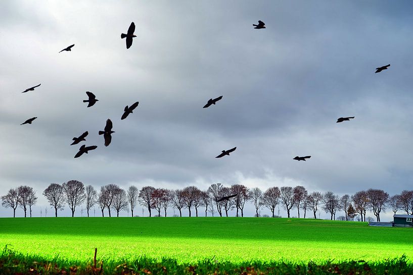 Kraaienfamilie van Edgar Schermaul