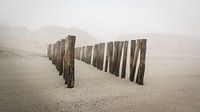 Poleheads am Strand an der Küste Zeelands im Nebel von Michel Seelen Miniaturansicht