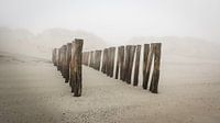 Paalhoofden op het strand aan de Zeeuwse kust in de mist